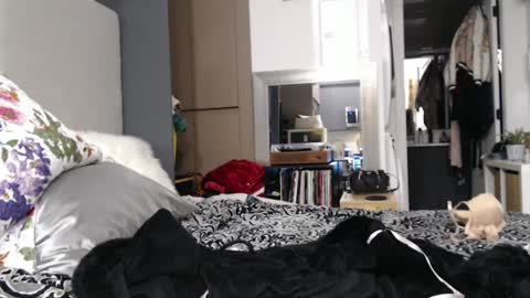 Shannon07 online show from 01-13-25, 02:50