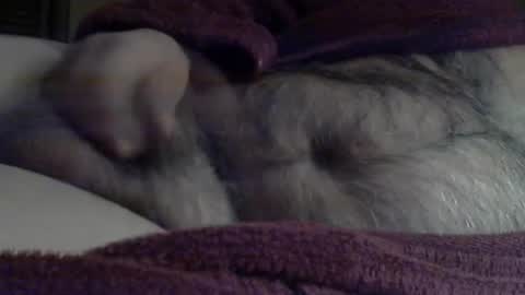 Sharkey644 online show from 03-03-26, 09:04