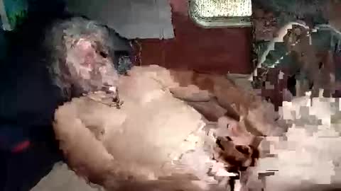 Shamroc online show from 03-05-26, 02:02