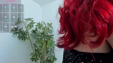 Shego  online show from 12-19-25, 12:50