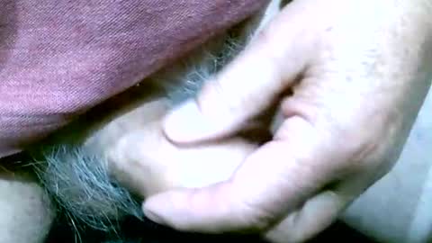 Snapshot of shootertog chatting on 10-13-25, 10:48 shootertog online show from 10-13-25, 10:48