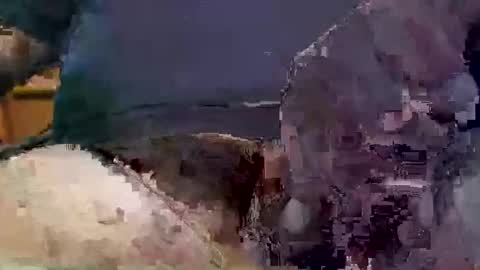 showsme online show from 09-17-25, 09:22