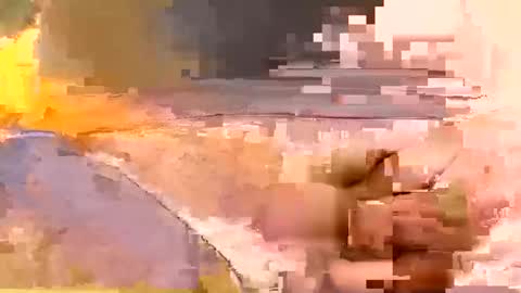 showsme online show from 02-19-26, 07:59