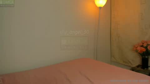 Snapshot of shy_angel_30 chatting on 07-17-26, 05:07 Angel online show from 07-17-26, 05:07