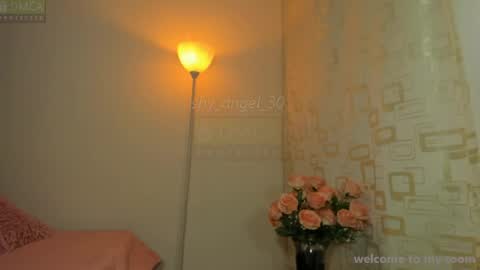 Snapshot of shy_angel_30 chatting on 08-04-26, 06:21 Angel online show from 08-04-26, 06:21