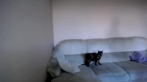 Snapshot of shy_sabrina_ chatting on 04-26-26, 03:53 shy_sabrina_ online show from 04-26-26, 03:53