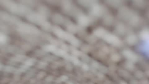 Snapshot of shyelenax chatting on 06-15-26, 08:22 ELENA online show from 06-15-26, 08:22