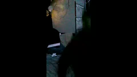 shylom online show from 02-15-26, 05:26