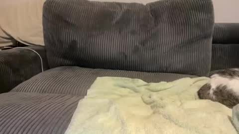 Snapshot of siddney chatting on 04-28-26, 07:35 Call Me Yours online show from 04-28-26, 07:35