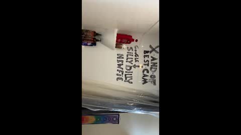 Snapshot of sillydillynewfie chatting on 06-22-26, 04:26 Silly Dilly Newfie online show from 06-22-26, 04:26