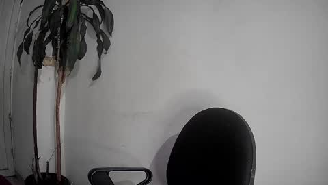 Snapshot of silviecollins chatting on 12-02-24, 12:52 Silvie online show from 12-02-24, 12:52