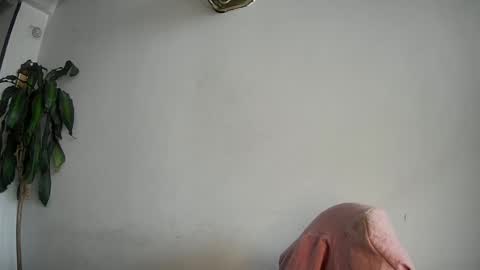 Snapshot of silviecollins chatting on 02-15-25, 07:50 Silvie online show from 02-15-25, 07:50
