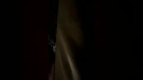 Snapshot of sinaloa123456789929025 chatting on 07-05-26, 10:28 tigre online show from 07-05-26, 10:28