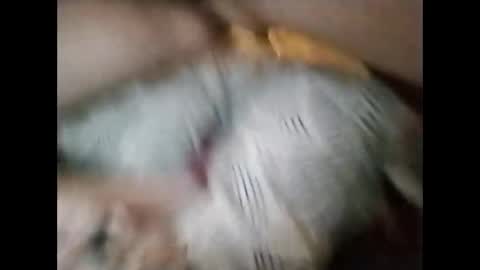 Snapshot of sinbook611 chatting on 10-23-25, 10:58 sinbook611 online show from 10-23-25, 10:58