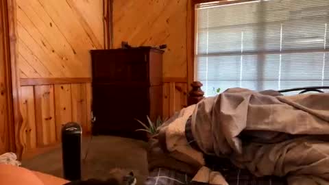 sinfull2022 online show from 02-01-26, 04:38