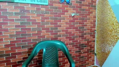 Snapshot of sirryant chatting on 02-27-25, 12:34 SIR RYANT online show from 02-27-25, 12:34