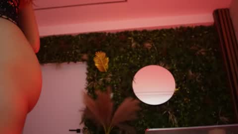 Snapshot of sisi_von_dee chatting on 05-16-26, 07:01 Dee online show from 05-16-26, 07:01