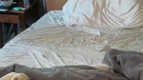 Sissy Submissive online show from 04-18-26, 12:03