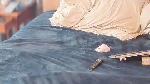 Snapshot of sissydensib chatting on 05-16-26, 07:34 Sissy Submissive online show from 05-16-26, 07:34
