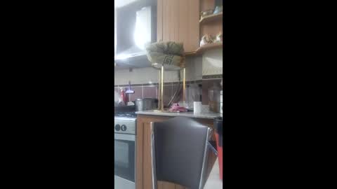 Snapshot of siyahkedy2 chatting on 02-17-26, 09:43 siyahkedy2 online show from 02-17-26, 09:43