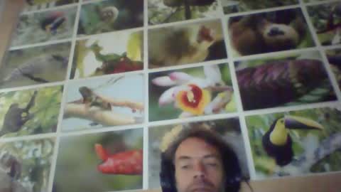 Snapshot of sji123 chatting on 02-22-25, 06:06 sji123 online show from 02-22-25, 06:06