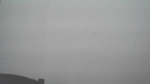 skady_coronado online show from 11-11-25, 06:08