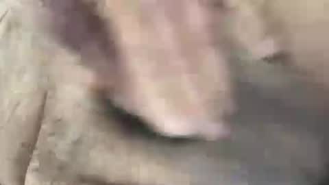 skima48 online show from 02-14-26, 08:00