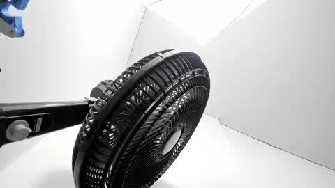 melody online show from 12-01-25, 11:37