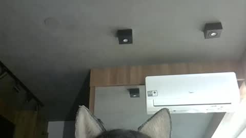 skinnykittencam online show from 11-06-25, 06:31