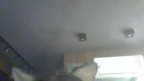 skinnykittencam online show from 12-01-25, 10:31