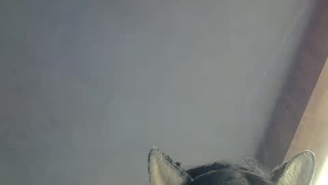 skinnykittencam online show from 03-15-26, 09:48