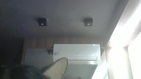 Snapshot of skinnykittencam chatting on 05-04-26, 03:13 skinnykittencam online show from 05-04-26, 03:13