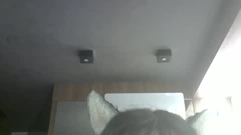 Snapshot of skinnykittencam chatting on 05-08-26, 03:28 skinnykittencam online show from 05-08-26, 03:28