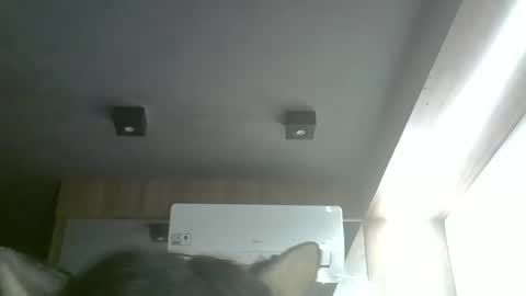 Snapshot of skinnykittencam chatting on 05-17-26, 11:17 skinnykittencam online show from 05-17-26, 11:17