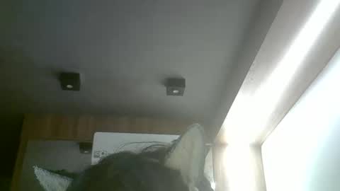 Snapshot of skinnykittencam chatting on 05-20-26, 02:29 skinnykittencam online show from 05-20-26, 02:29