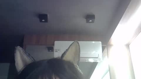 Snapshot of skinnykittencam chatting on 05-21-26, 09:16 skinnykittencam online show from 05-21-26, 09:16