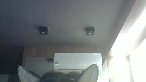 Snapshot of skinnykittencam chatting on 05-24-26, 03:55 skinnykittencam online show from 05-24-26, 03:55