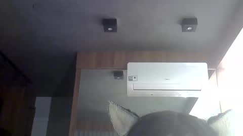 Snapshot of skinnykittencam chatting on 05-30-26, 06:54 skinnykittencam online show from 05-30-26, 06:54
