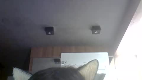 Snapshot of skinnykittencam chatting on 05-30-26, 07:00 skinnykittencam online show from 05-30-26, 07:00