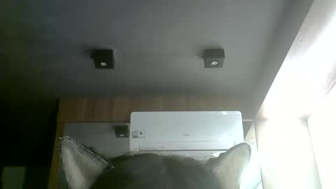 Snapshot of skinnykittencam chatting on 06-01-26, 04:20 skinnykittencam online show from 06-01-26, 04:20