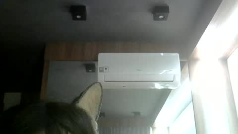 Snapshot of skinnykittencam chatting on 06-12-26, 11:35 skinnykittencam online show from 06-12-26, 11:35