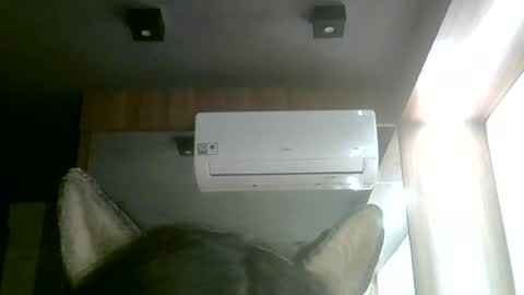 Snapshot of skinnykittencam chatting on 06-14-26, 02:24 skinnykittencam online show from 06-14-26, 02:24