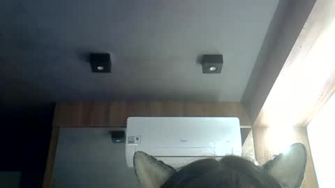 Snapshot of skinnykittencam chatting on 06-19-26, 12:04 skinnykittencam online show from 06-19-26, 12:04
