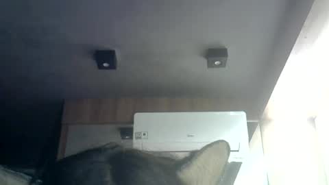 Snapshot of skinnykittencam chatting on 06-23-26, 01:36 skinnykittencam online show from 06-23-26, 01:36