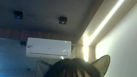 Snapshot of skinnykittencam chatting on 06-23-26, 01:42 skinnykittencam online show from 06-23-26, 01:42
