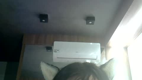Snapshot of skinnykittencam chatting on 06-25-26, 03:39 skinnykittencam online show from 06-25-26, 03:39