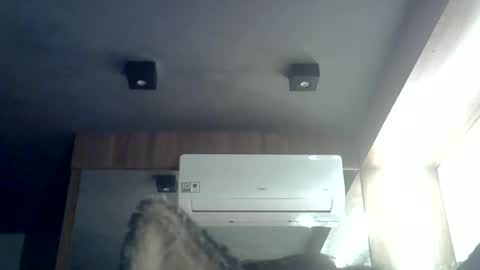 Snapshot of skinnykittencam chatting on 06-28-26, 01:22 skinnykittencam online show from 06-28-26, 01:22