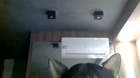 Snapshot of skinnykittencam chatting on 06-29-26, 10:48 skinnykittencam online show from 06-29-26, 10:48