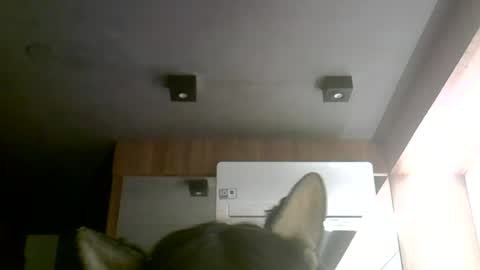 Snapshot of skinnykittencam chatting on 06-30-26, 12:11 skinnykittencam online show from 06-30-26, 12:11