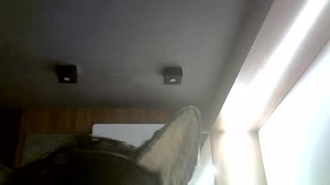 Snapshot of skinnykittencam chatting on 07-04-26, 06:25 skinnykittencam online show from 07-04-26, 06:25